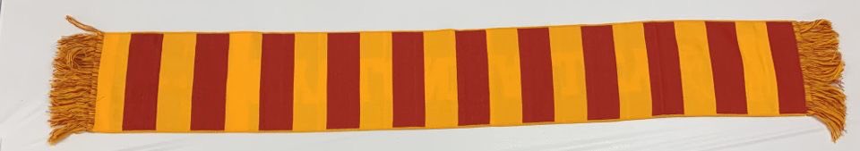 CycloneAlley's tweet photo. Need a study break? @CycloneWBB take on Wright State at 1pm! We’ll be giving away Cyclone Alley scarves! #DefendHilton https://t.co/wwQfilOWME