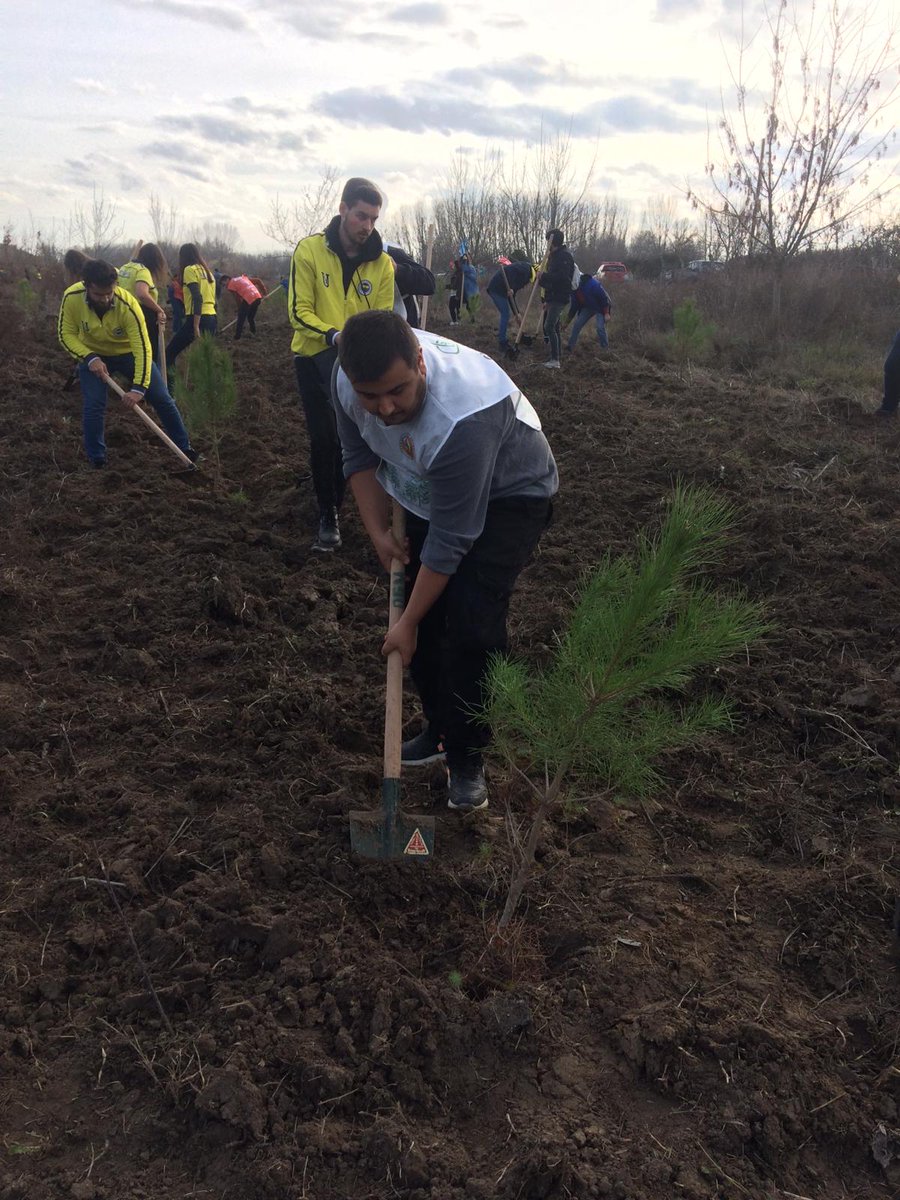 thpedirne's tweet photo. THP Edirne İl Başkanlığımızın öncülüğünde ve THP Kırklareli İl Başkanlığımızın büyük katkıları, Trakya Genç Tema ve Edirne Orman İşleri Müdürlüğünün destekleriyle, Yolbaşcımızın adını sonsuza kadar yaşatmak için Edirne'de "Hüseyin Nihal ATSIZ Hatıra Ormanı" oluşturduk. https://t.co/fKldtwByuf