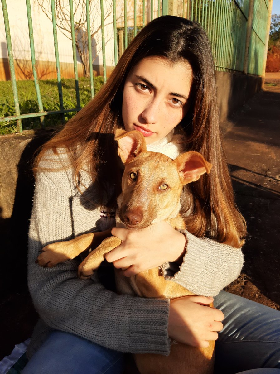 debopfaffen's tweet photo. @dogsreaction Mi princesa❤ https://t.co/Garsy22mOA
