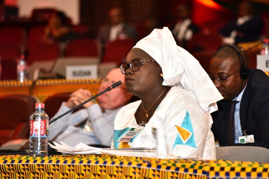 mincom_sn's tweet photo. Les priorités de sa présidence tournent autour de la mise en place des instances de la Zlecaf, notamment le Secrétariat et les différents Comités prévus dans les protocoles de l'Accord instituant la ZLECAF (2/3) https://t.co/jKhZtLpjlw