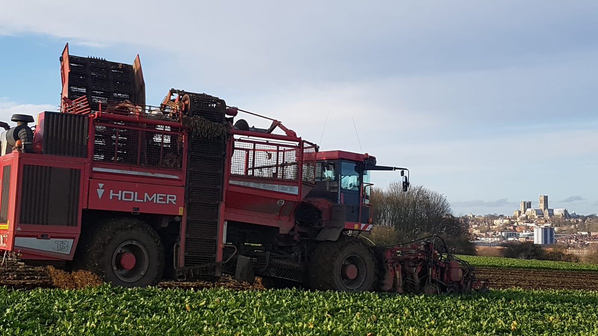 NickMar47827145's tweet photo. Lifting beet today in aptly named Cathedral Field (Lincoln) https://t.co/QHY0LEDSLl
