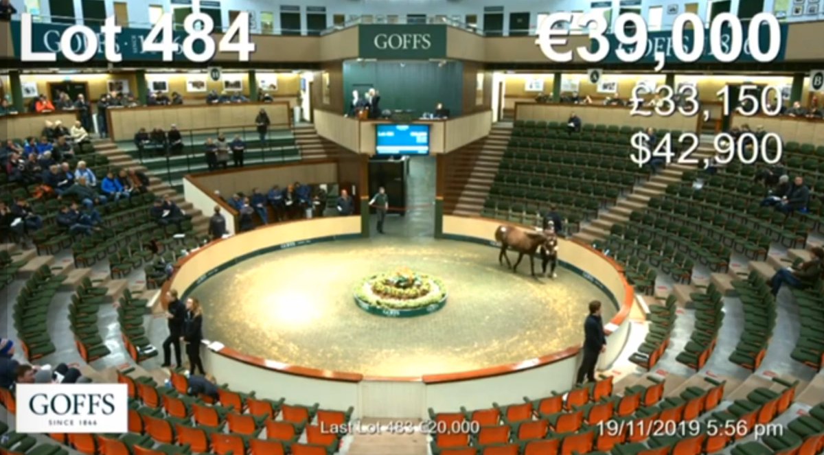 BloodstockSaudi's tweet photo. بحمدالله تم الاتفاق مع اول مالك سعودي يرغب في الانتاج في ايرلندا ، حيث سيتم توفير العناية الكاملة للفرس وتم حجز الفحل Mastercraftsman للعام القادم.

الجدير بالذكر ان الفرس لها مهر على نفس الفحل لم يباع في مزاد Goffs قبل اسبوعين بسعر ٣٩ الف يورو.

الله يباركله ⁦🇸🇦⁦🇨🇮 https://t.co/Pdq8tjzfZS