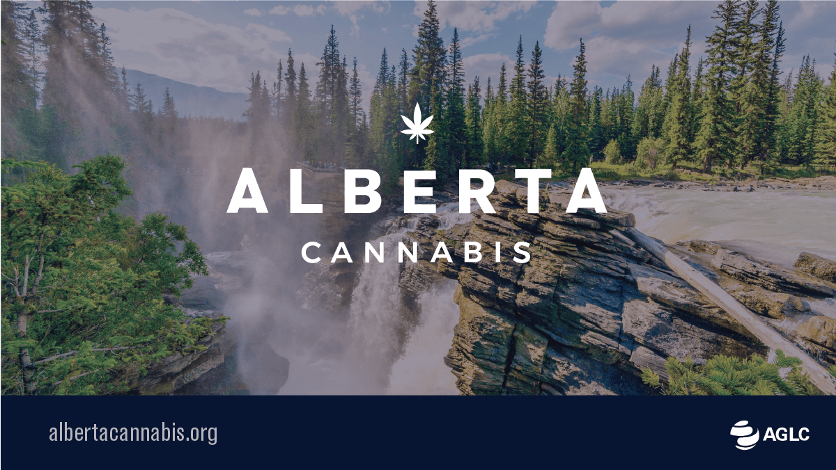 #DYK all #LicensedProducers work very hard every day to produce trusted products that are #federally and #provincially #regulated? Read more about our licenced producers at bit.ly/32GK1va