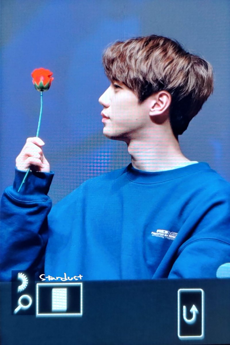 ꜱᴛᴀʀᴅᴜꜱᴛ tweet media