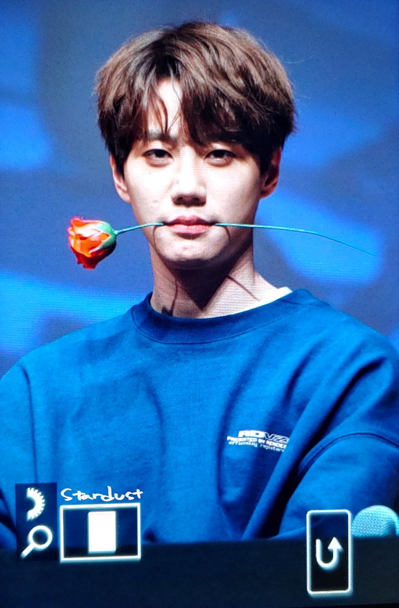 ꜱᴛᴀʀᴅᴜꜱᴛ tweet media