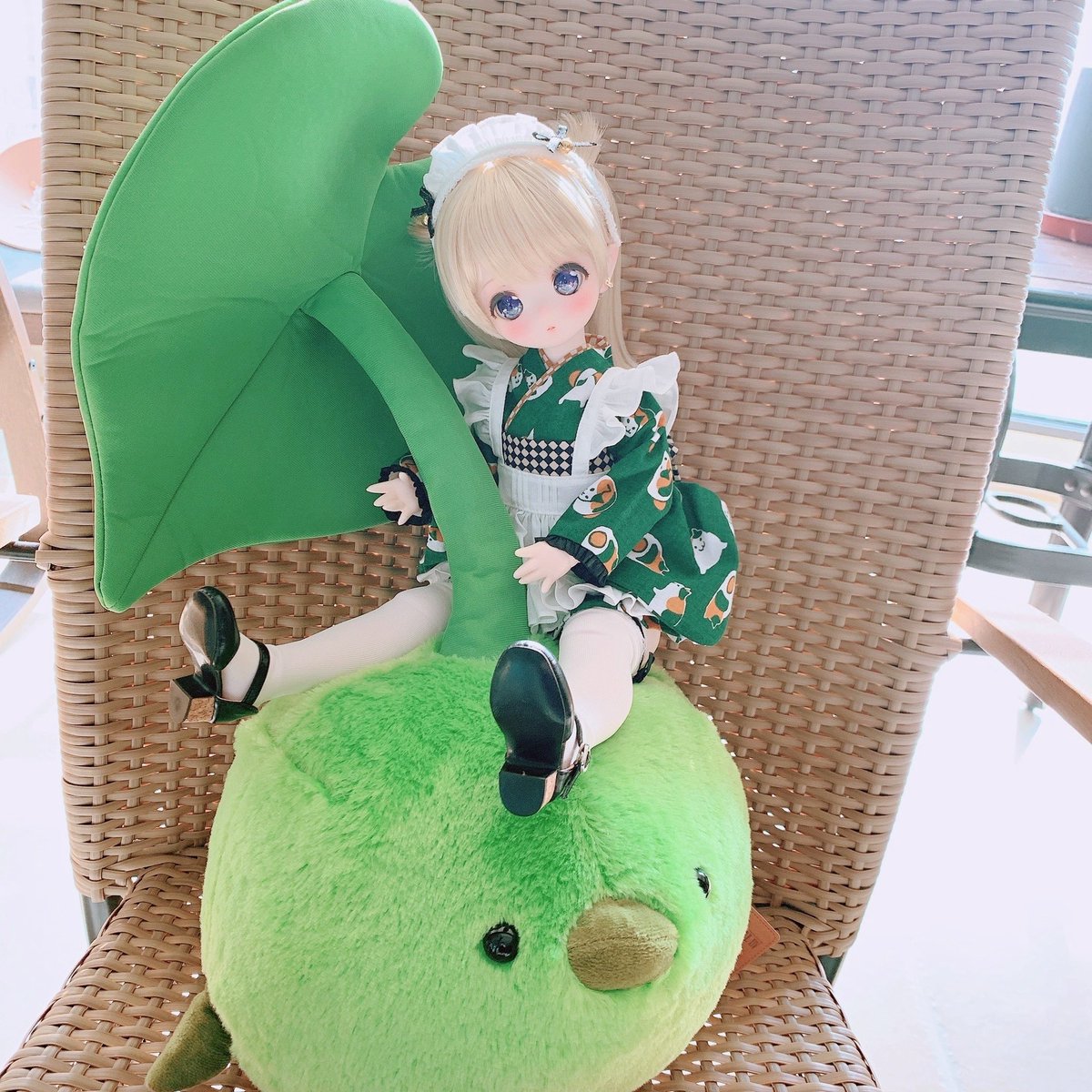 くまこちゃんキック！！o(｀ω´ )o

#kumakoちゃん #puyoodoll