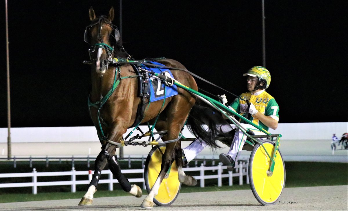 hoosiernations's tweet photo. GoodMorning @tetrickracing @JoannKi32885615 @HeatherBVitale @WrennSandy @TraceTetrick @Chris_wponies @rebelsart @jtlburn @kimberlymoier @KathleenBaitzel @joe_norte @elliotgordon2 @vnssa926 @SadandSulk @GlenRmiller64 @INStandardbred @HoP_Racing #CrimsonAndChrome #TimTetrick https://t.co/j8f3vDDD5U
