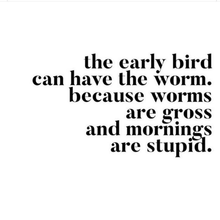 for_sober's tweet photo. And this would be my mindset after I drank last night! 😡 Which is why I hate drinking! Then I ate my way through the refrigerator! Grrrr! #drinkingsucks #thestruggleisreal #soberinspiration #alcohol #addiction #takeyourlifeback #recoveryispossible #midlifesober #midlife https://t.co/u8BePeyMWW