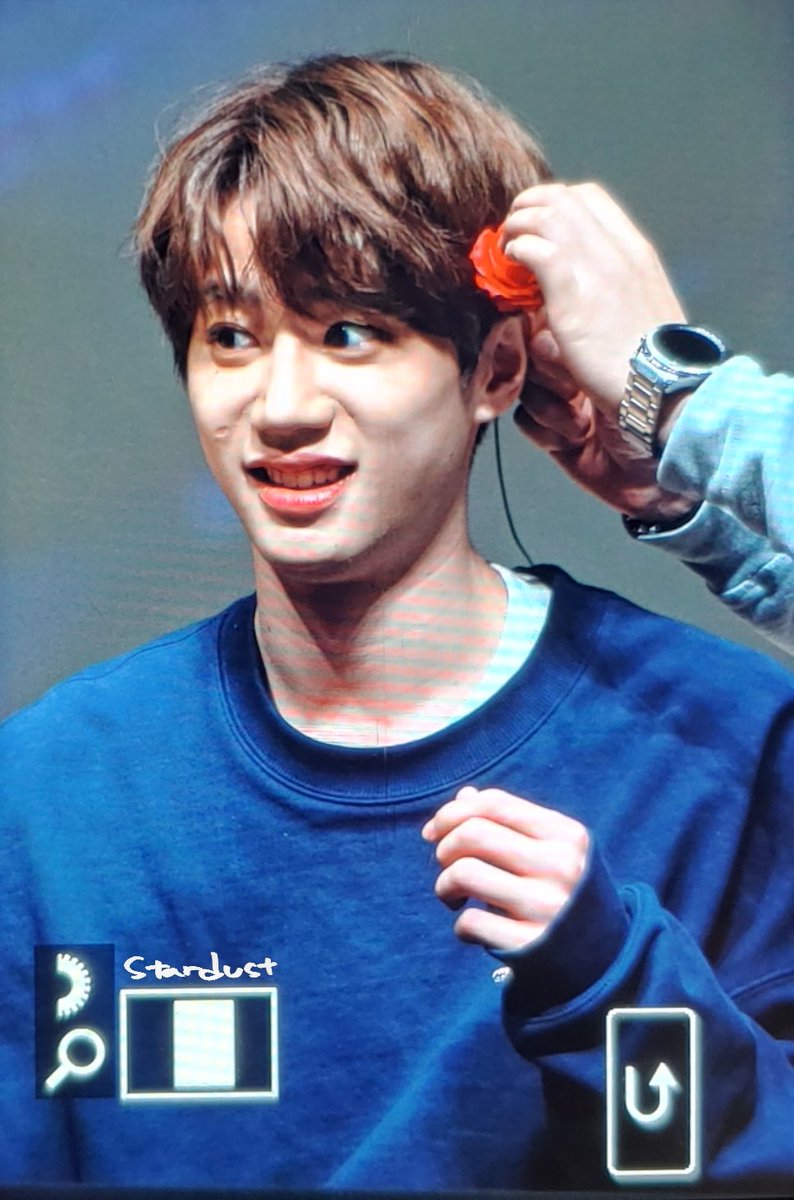 ꜱᴛᴀʀᴅᴜꜱᴛ tweet media