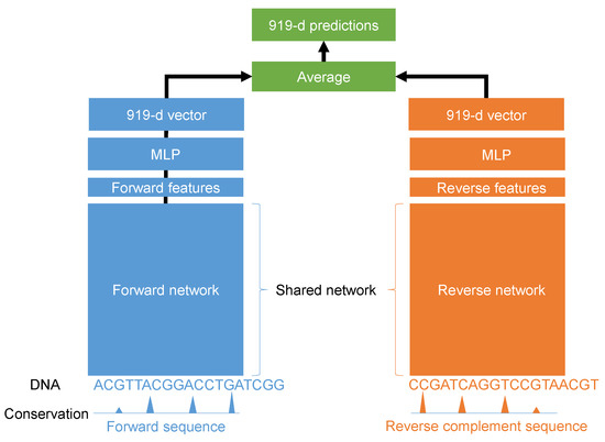 MDPIOpenAccess's tweet image. Improving the Quantification of DNA Sequences Using Evolutionary Information Based on Deep Learning sci.fo/67q #ConvolutionNeuralNetwork #DeepLearning #DNAComputing #LSTM