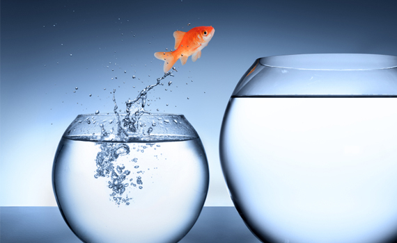 RobertoKPax's tweet photo. Do you code?
Do you know how to build workflows?
Does your company has a BI platform?
What part of your job can you automate?
Where Do You See Yourself in 5 Years??

My advice to young scientists: Move to industry, learn orthogonal disciplines and reinvent yourself.

#DataScience https://t.co/4JGYXbA6P6