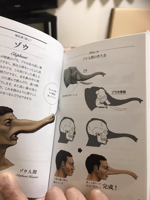 
カメの甲羅はあばら骨っていう本、どこかで見て買ってみた。動物の骨格を人間で表すとどうなるかって本なんだけど絵が面白すぎて子供に受けまくってる… 