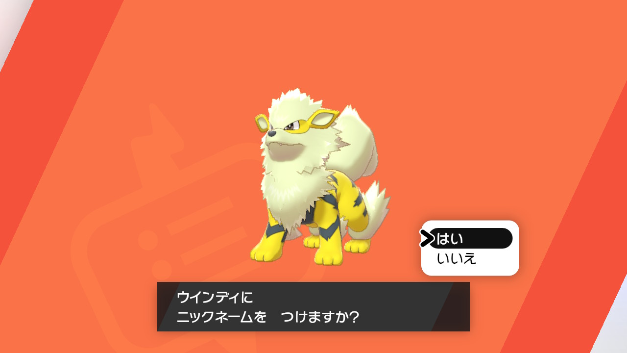 カンナ 結城p 野生色違いウインディ メス だ ポケモン剣盾 T Co 4nqd1ni6fz Twitter