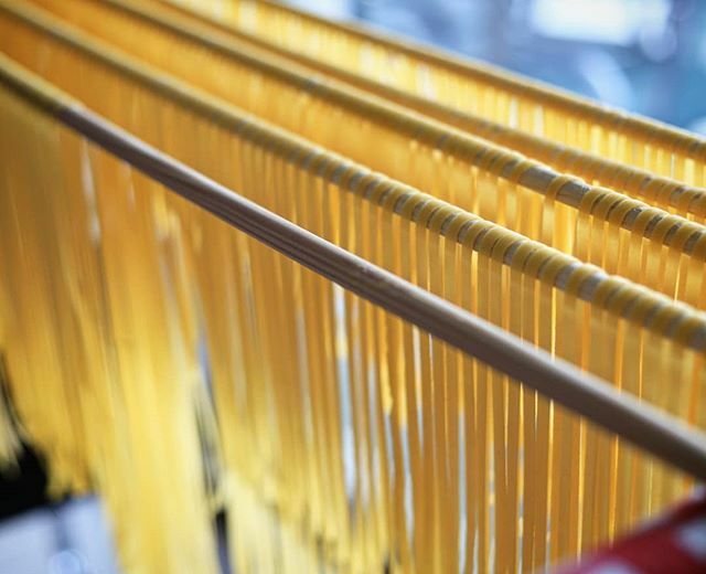 raphaelsuter's tweet photo. #pasta #selfmade #lotofwork #italia #food #noodles #cooking #creative #foodphotography #focus #kitchen #flour #egg #oliveoil #sundaywork #prepareforchristmas #justtryit #diy #canon #canonfavpic #photographer #photograph #photography #swissphotographer https://t.co/y5IGmHCR9E https://t.co/sUpsAkHfvW