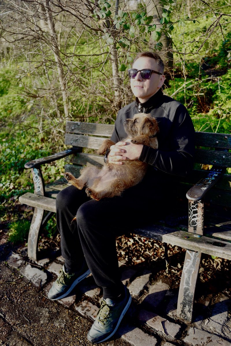 David Walliams HQ tweet media