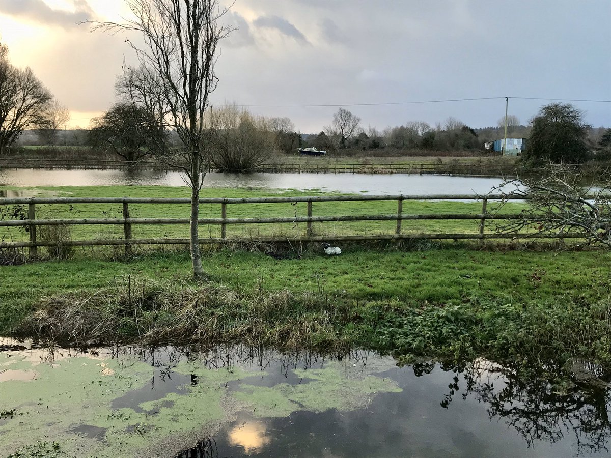 73cath's tweet photo. Very wet around Stur Marshall. River Stour very high but roads still clear #WhiteMill @NTKingstonLacy https://t.co/Mnh9noL49k