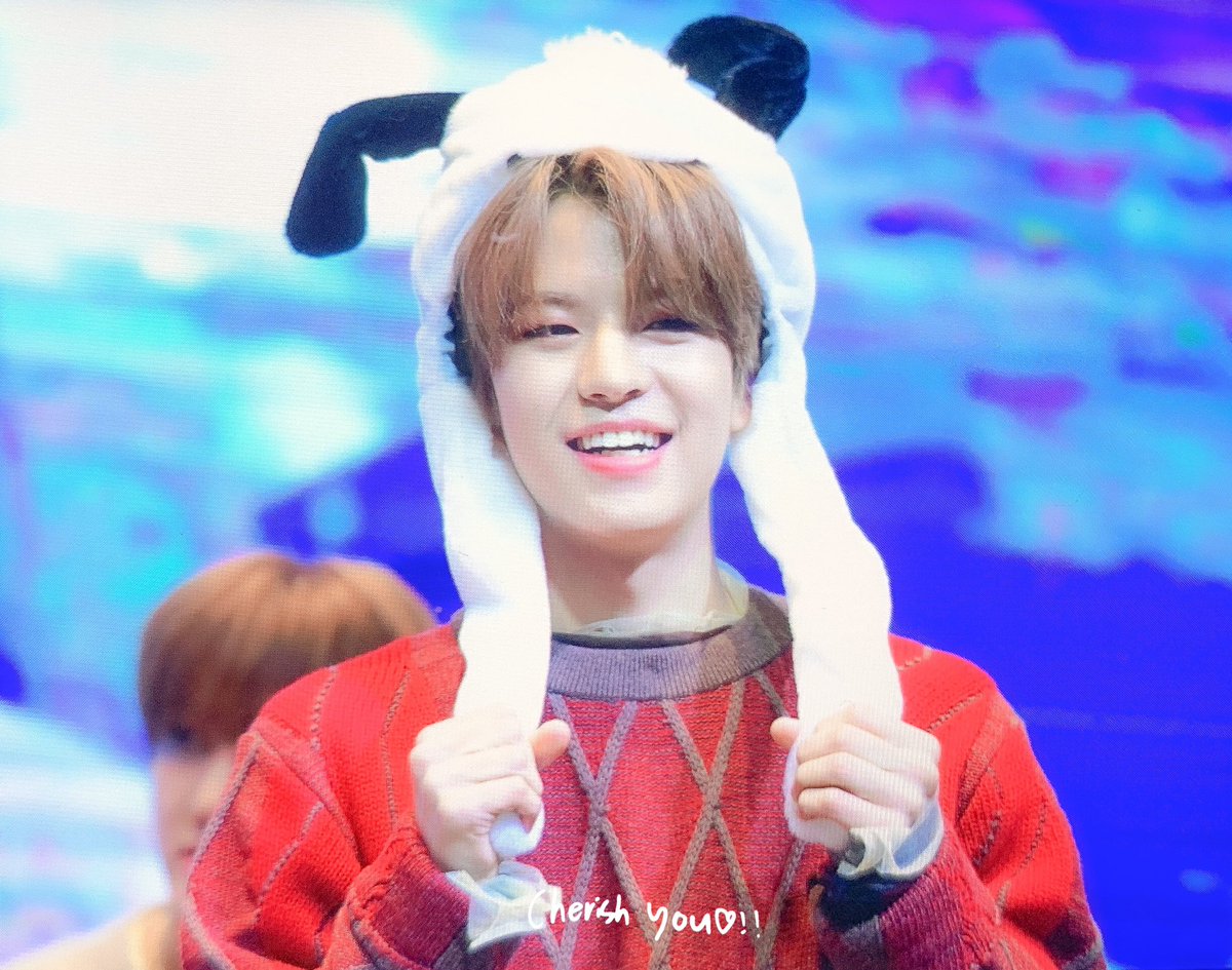 cherishyou922's tweet photo. 191215 여의도팬싸 #스트레이키즈 #승민 🐶 https://t.co/uYRYisxEOZ