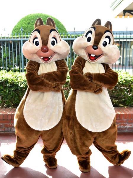 チップとデールみたいで可愛い🐿💜