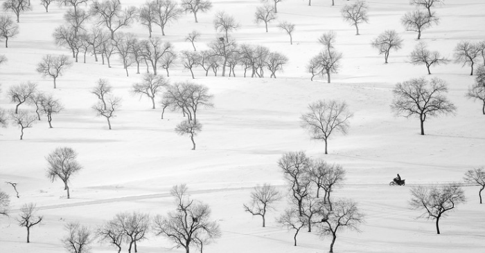 Apostrophe99's tweet photo. On the Way
Art Print by Bingo Z   #blackandwhitephotography https://t.co/gRkD9F9LBg