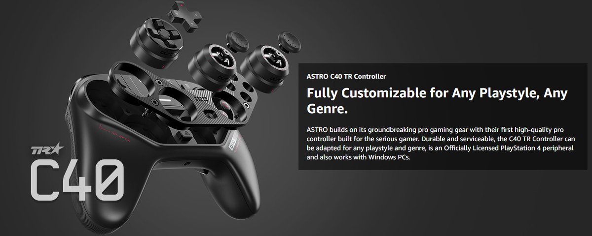 ps4 c40 tr controller