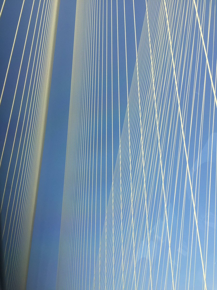 MenonKalyani's tweet image. Parallel lines...

#parallel #line #architechure #sky