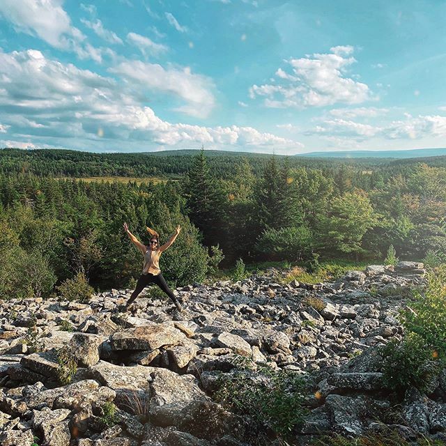 Let’s talk trees! Specifically, Christmas trees. What do you have: real, fake or none? 🎄/ #DollySods⁣⁣
⁣⁣
There’s been a post going around Facebook from <a href="/indiananrf/">Indiana Natural Resources Foundation</a> that is so interesting! They mention that most fake trees are made of metals &amp; pl… ift.tt/2YRPDlK