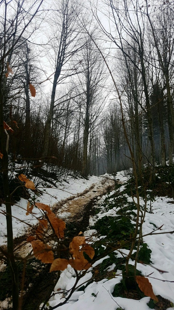 BNGulhan's tweet photo. I'm at Kartepe in Kartepe, Kocaeli w/ @elifgulhan https://t.co/crMMP824rE https://t.co/C2QwtS5pZ2