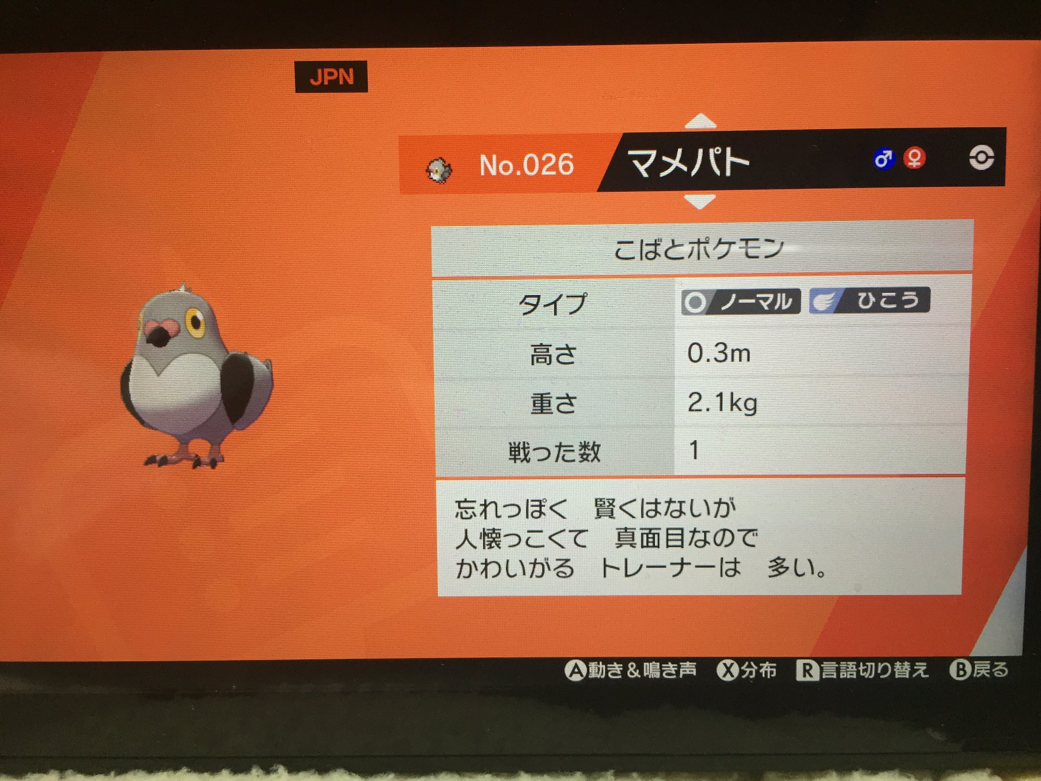 まほっち Shiningそす ソロらびったー フォロワーさんのおかげで図鑑が埋まりました 最後はマメパトでした ポケモン剣盾 図鑑完成 T Co Pkedadwrys Twitter まほっち Shiningそす ソロらびったー フォロワーさんのおかげで図鑑が埋まりました 最後はマメパトでした ポケモン剣盾 図鑑完成 T Co Pkedadwrys Twitter