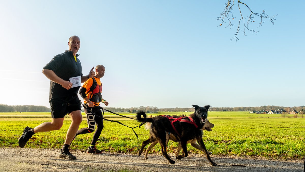 Prima weer bij de Natte #Neuzen #canitrail in 't #Montferland vanmorgen #blauw #zon #honden #sport #canitrail  #sport