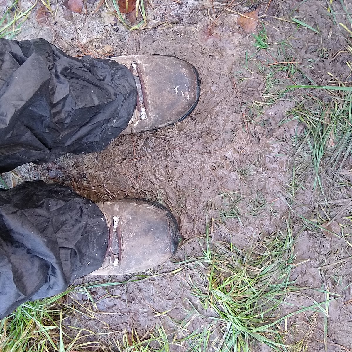 A bit squelchy underfoot at Broadstone Warren today!