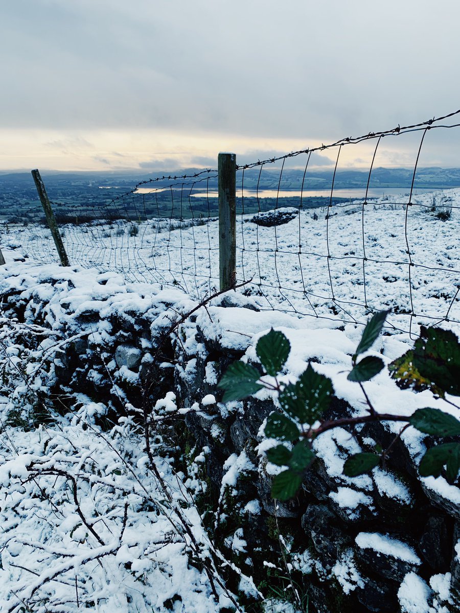 sligotourism's tweet photo. Our part of the #wildatlanticway is oozing magical, wintry feels today. ❄️❄️❄️
.
.
.
#sligoxmas #sligostories https://t.co/nzK0nyPwYd
