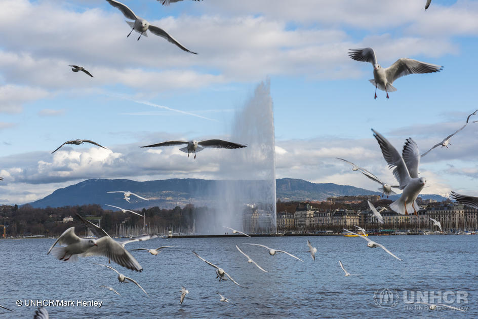 Refugees's tweet photo. The stage is set for the Global #RefugeeForum, taking place this 16-18 December in Geneva. We need bold, new measures to:

✅ Ease pressure on hosts
✅ Boost refugee self-reliance
✅ Find solutions

Big or small, every action counts. https://t.co/VkWBylBnEy https://t.co/dGAYOd12Px