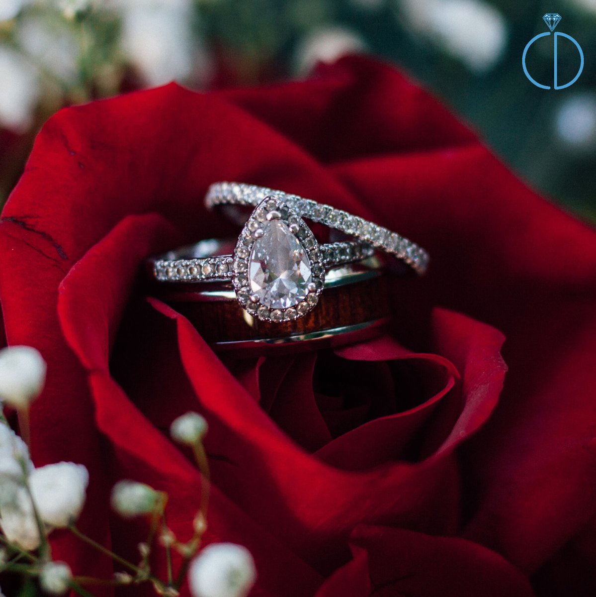 CenturyDiamonds's tweet photo. Explore Century Diamond’s new collection “Diamonds for her” filled with stunning jewelry pieces like this amazing pear cut halo diamond ring.
Shop Now😍: https://t.co/FTWNxIeTEb https://t.co/VCh6Pjhvkm