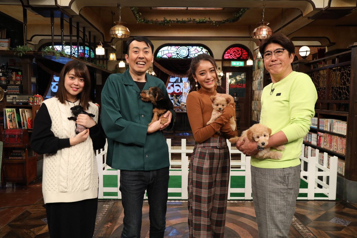 フジテレビ スーパーニュース ダルメシアン ベル Televes149483-Main1.jpg