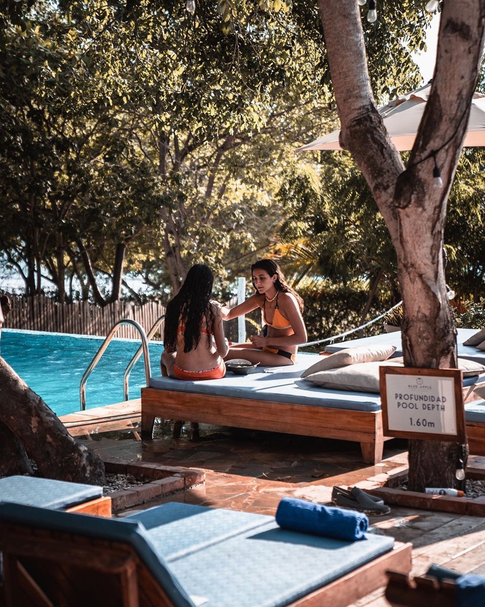 Sundays are so much easier poolside. Especially at @blueapplebeach!