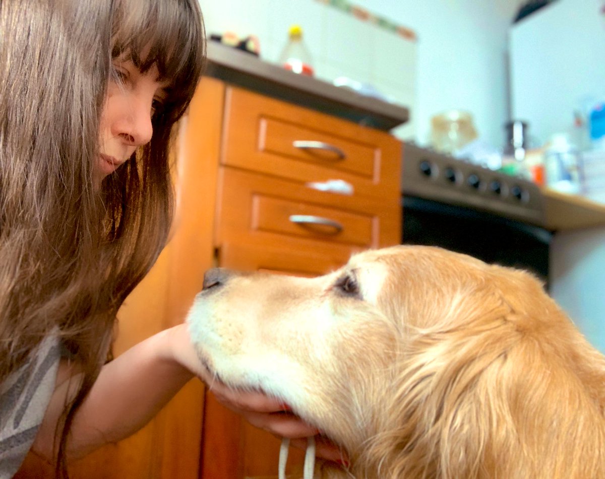 Que tristeza infinita cuando ni con todo el amor alcanza.
Ojalá muera sin entender cómo después de 13 años no lo quisieron mas.
NUNCA ABANDONEN A SUS MASCOTAS.
Si no crees que se enferman y mueren de tristeza, compara los estudios de cuando llegó con los repetidos a los 5 meses🖤
