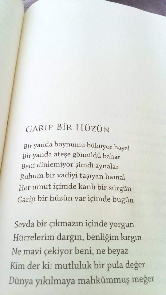 Ayşenur iltar (@aysenuriltar) on Twitter photo 