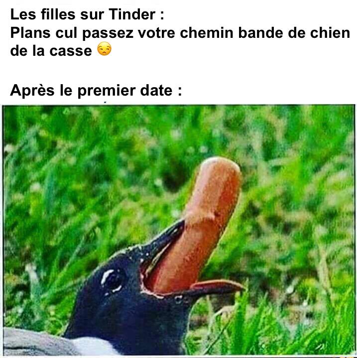 CroquemaVerge's tweet image. #ClassicShit