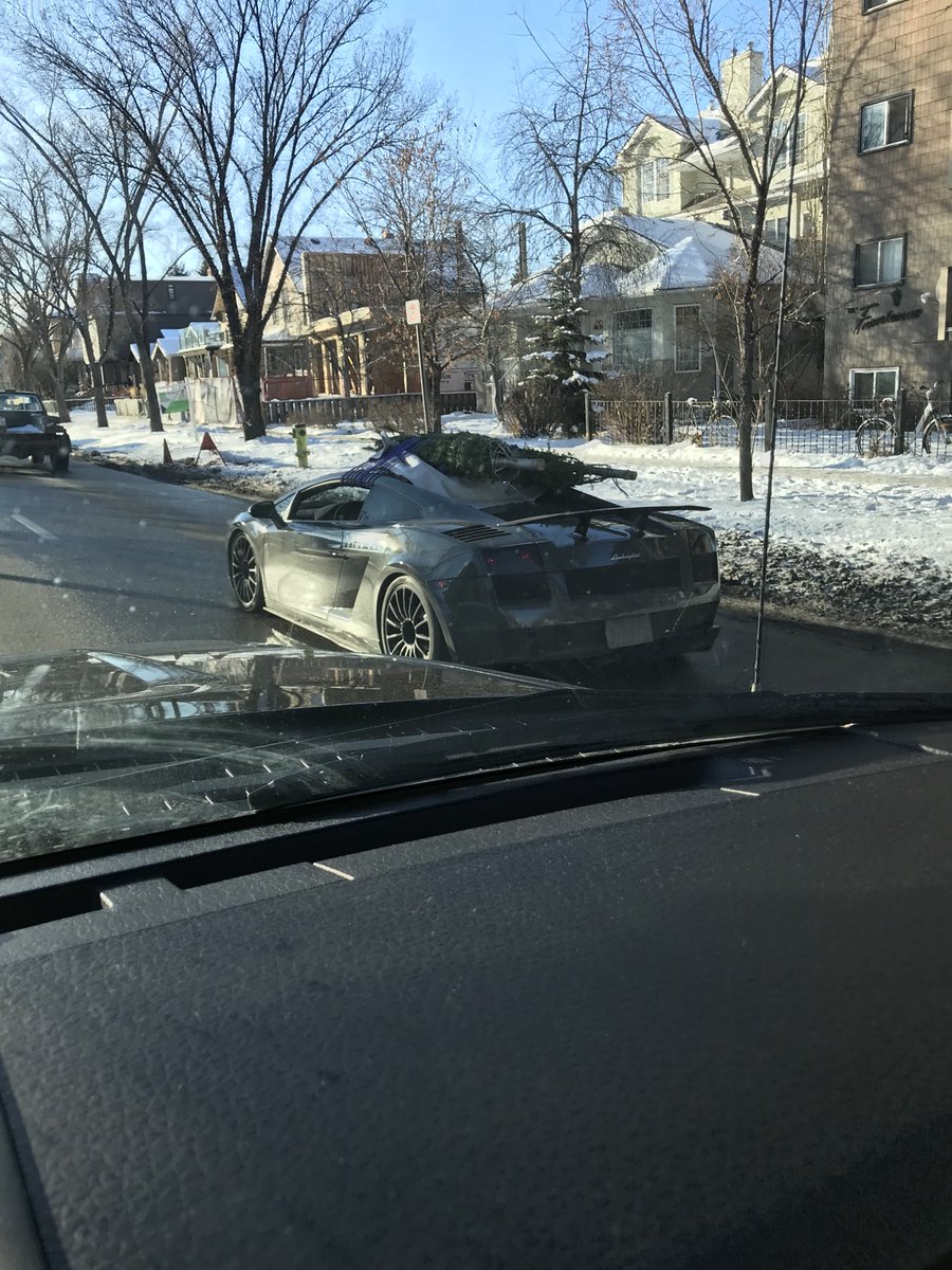 KellyHrudey's tweet photo. Your eyes are not deceiving you, this is a Lamborghini on memorial drive with 2 Xmas trees strapped to the roof.  Only in Calgary/Canada. 🤦‍♂️🤷‍♂️ https://t.co/gAb7Ad4yE6