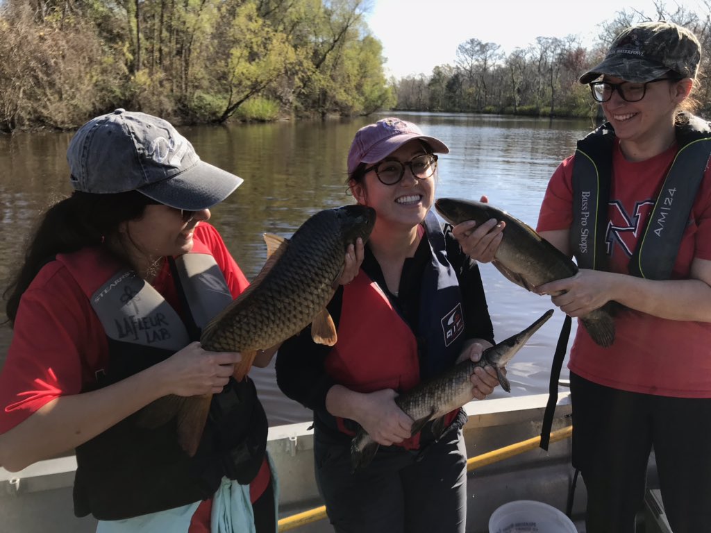 Atfredri's tweet image. Last day of my thesis research field work. So long Bayou Chevreuil, and thanks for all the fish. @NichollsBiology @NichollsState