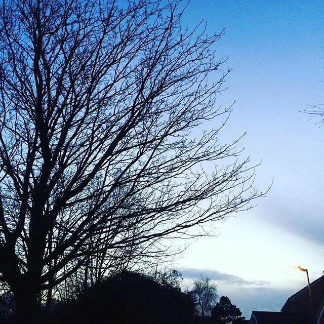 _lightboxing's tweet photo. winter silhouette sky ♡ https://t.co/Y7scIaOTH8 https://t.co/hglsrcBlzg