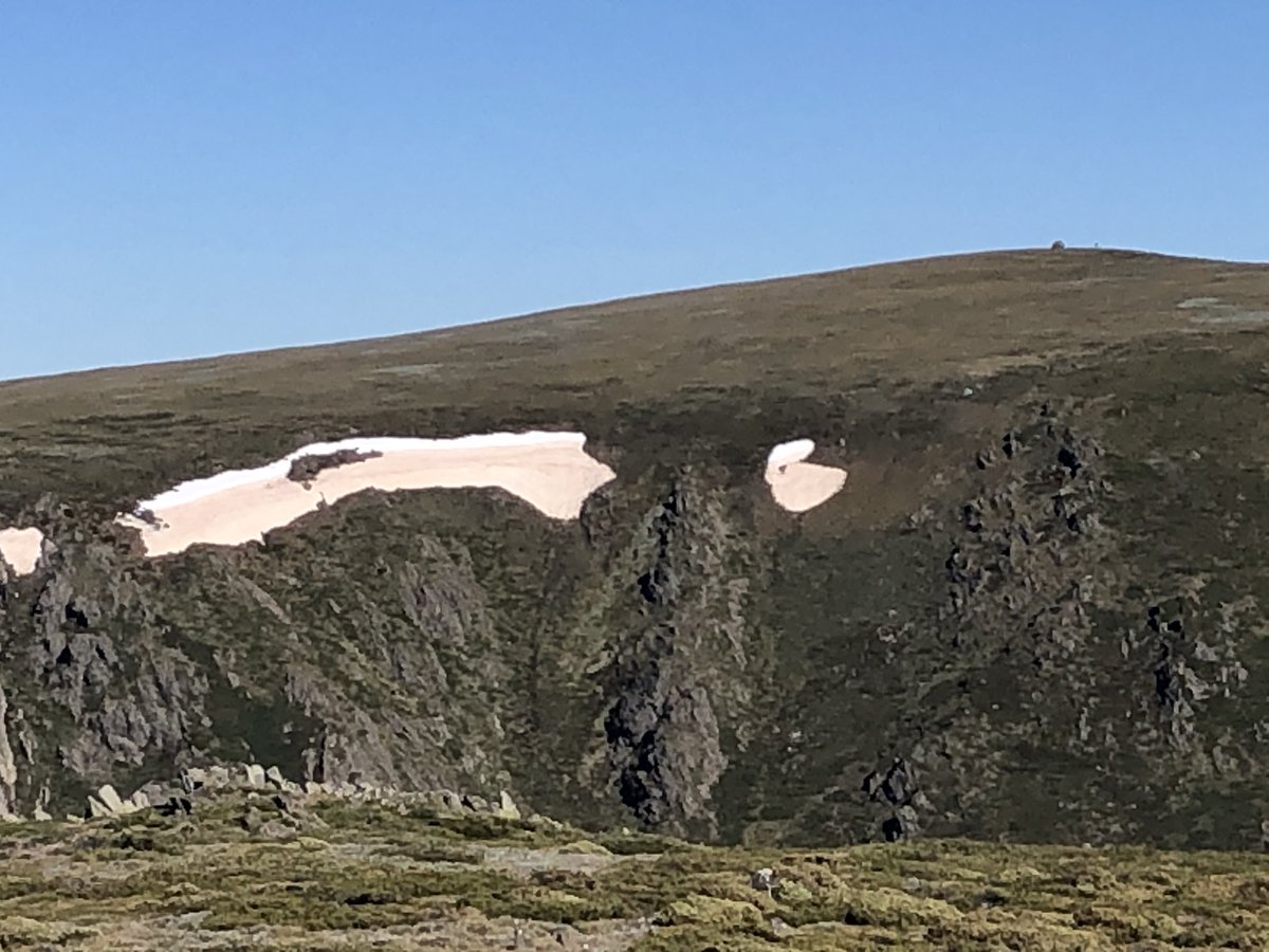“Scoop of caramel and a scoop of vanilla, please!”The brown patches beneath the summit of Mt Bogong are remnants of the winter snowpack, coated in dust from spring dust storms.The white patches are leftovers from the Dec 1st summer blizzard.Amazing!  #AAWT