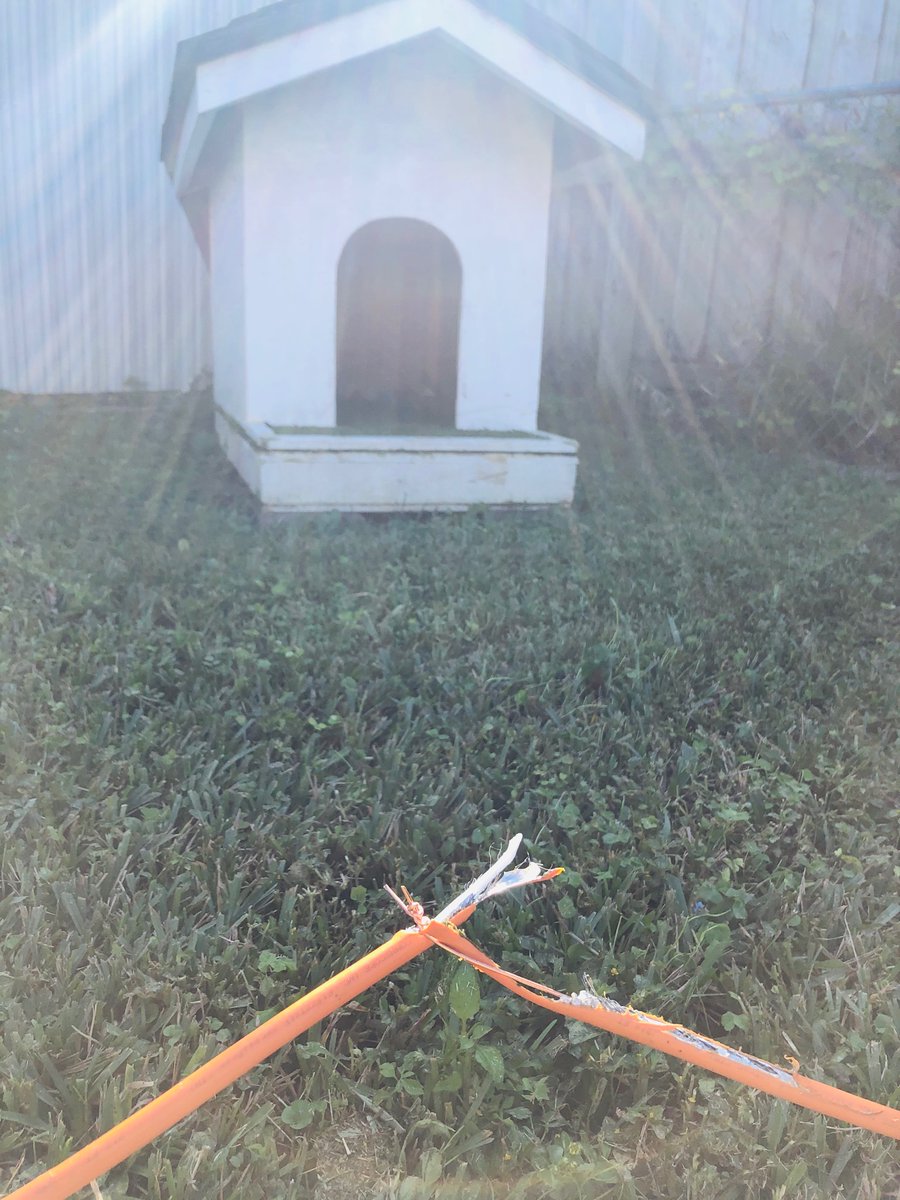 GroveIsleStyle's tweet photo. @Lawyer @comcast @comcast #negligence #AnimalCruelty @comcast no one responds to me. looking for @lawyers recommendations https://t.co/FrTAuwCIf5