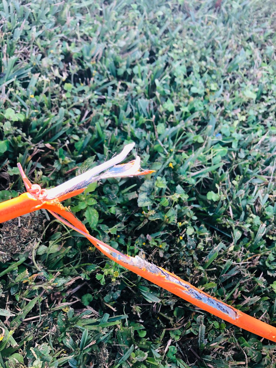 GroveIsleStyle's tweet photo. @Lawyer @comcast @comcast #negligence #AnimalCruelty @comcast no one responds to me. looking for @lawyers recommendations https://t.co/FrTAuwCIf5