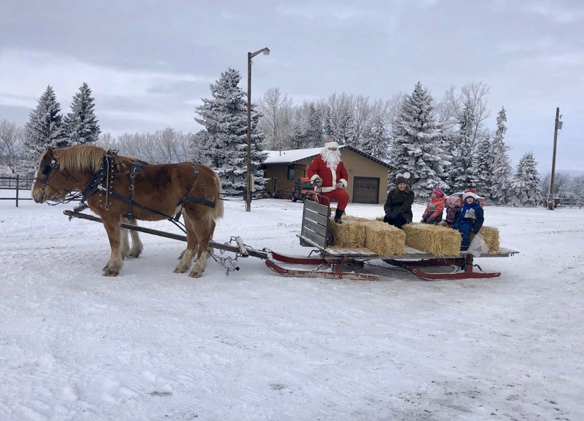 OpenFarmDays's tweet photo. Today is the last day to enjoy winter farm festivities at #YourLocalRanch ! Bring your sleds and skates and come for a sleigh ride!
Details here: https://t.co/pUeT7kcl72 https://t.co/tiT2DdutEu