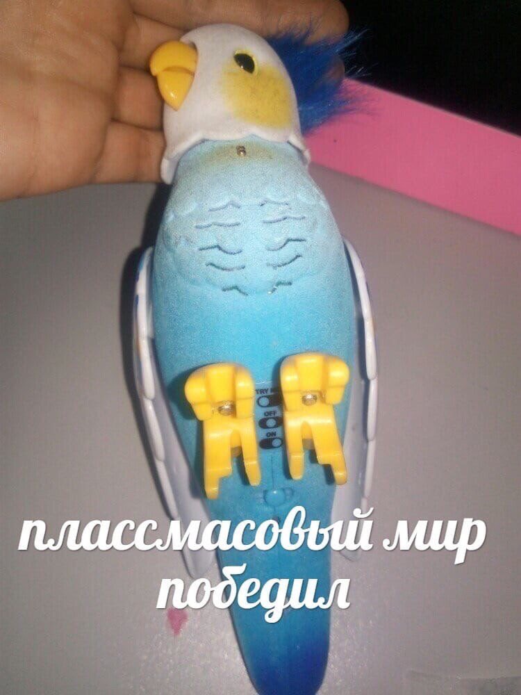 EL2Bf5JWoAE9Tf9?format=jpg&name=medium