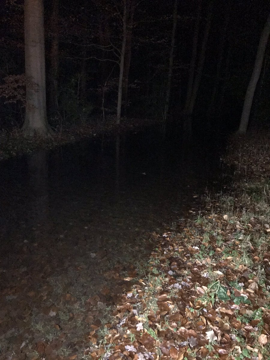 MichelHelgers's tweet photo. Gister, begin van de avond zijn de monteurs, na (druk)klachten in een wijk in Wassenaar op zoek gegaan naar de oorzaak.  In een bosperceel is een grote lekkage gevonden. De monteurs zijn tot vroeg in de ochtend bezig geweest. @Dunea https://t.co/wzaU7bWljJ