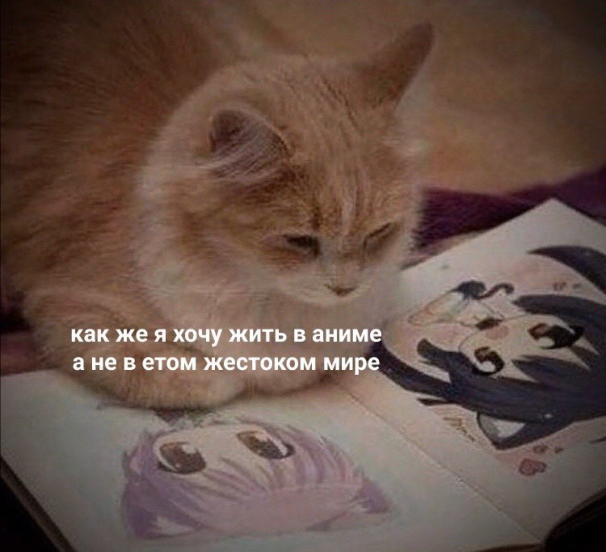 EL2FM8nXUAAyoYK?format=jpg&name=large