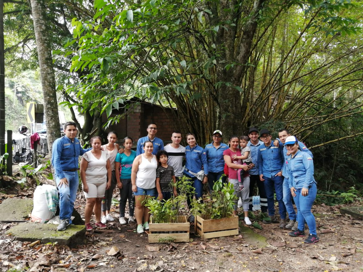 MasbosquesCol's tweet photo. Gracias a la comunidad de la vereda Tres Ranchos en Puerto Triunfo y a los voluntarios que se unieron para sembrar 100 árboles nativos sobre la parte alta de la microcuenca que abastece el acueducto de la vereda.
Gracias al apoyo de #Caltek https://t.co/YOkPqFgg47