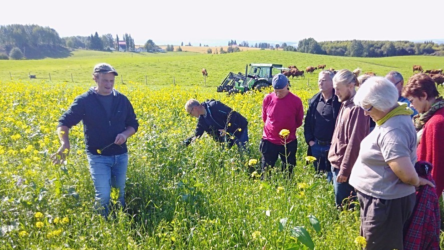 Vibhoda's tweet photo. Invitasjon til jordfruktbarhetskurset 2020 🍀🚜 - https://t.co/7USxHhIVSa
Bli med på ei praktisk retta utdanning i #regenerativt landbruk over åtte dager og fire samlinger. Første samling er 2.-3. mars på Fokhol gård, Stange. https://t.co/s5hW5TGrMc